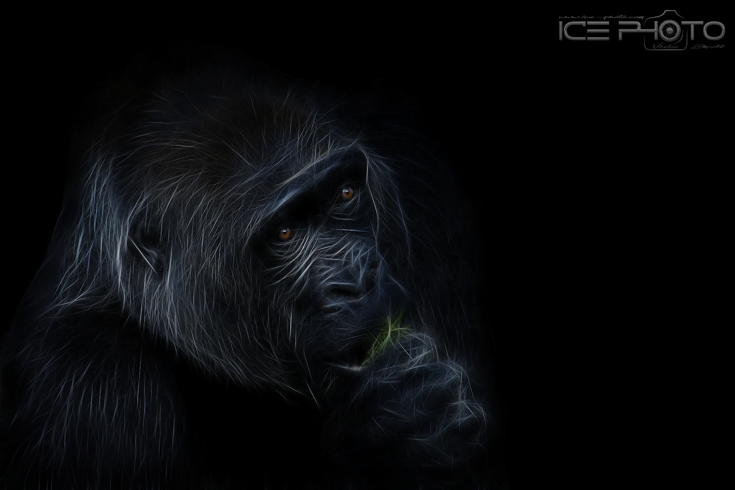 MYSTIC OF NATURE 7
